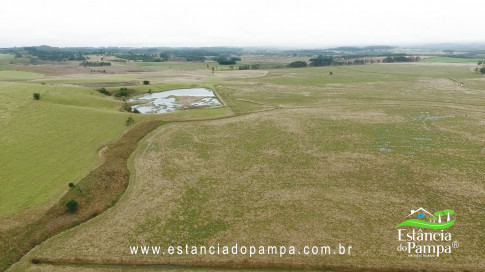 DA VARZEA ATE O GADO NA COXILHA.00_00_24_22.Quadro004_526fdebc34e9fe5c193c23f005579b7e5241b456.jpg